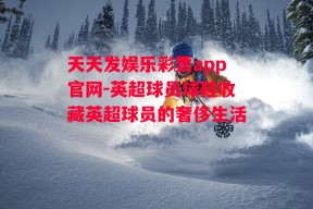 天天发娱乐彩票app官网-英超球员球鞋收藏英超球员的奢侈生活